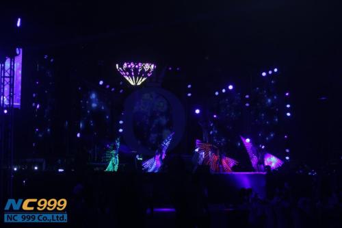 48424550_2259909537584191_5733673901553090560_n